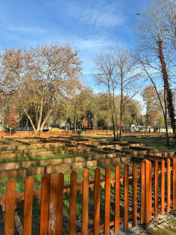 Fabricant de clôtures en bois châtaignier : élégance et robustesse